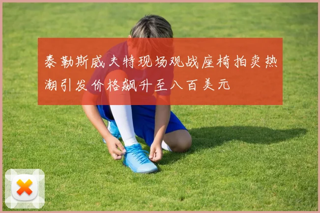 泰勒斯威夫特现场观战座椅拍卖热潮引发价格飙升至八百美元