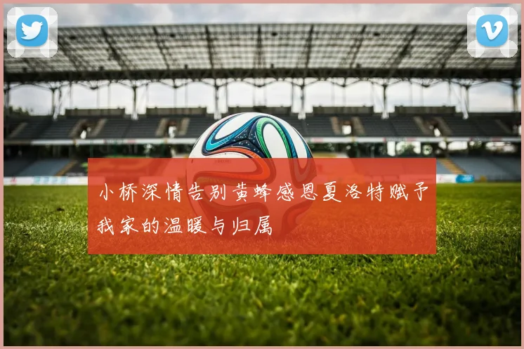 小桥深情告别黄蜂感恩夏洛特赋予我家的温暖与归属