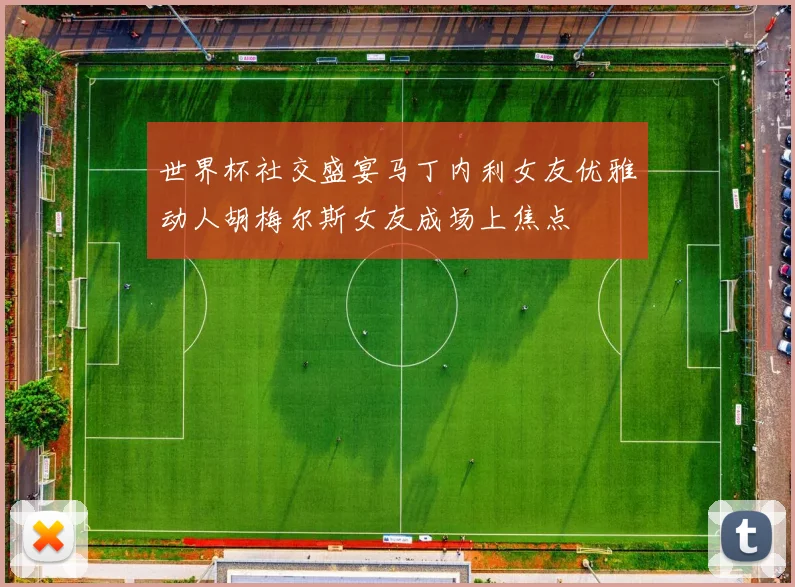 世界杯社交盛宴马丁内利女友优雅动人胡梅尔斯女友成场上焦点